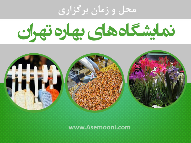 فاضلی : برگزاری پنج نمایشگاه بهاره در تهران/ حدود ۶ درصد نیاز شب عید مردم از نمایشگاه‌ها تامین می شود