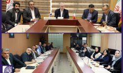 دستورالعملِ روش های محدودسازی استفاده از کیسه های نایلونی به زودی تدوین و به مرکز اصناف ابلاغ خواهد شد